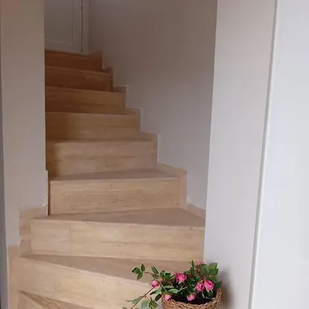 Dolhpin Residences - Açelya 1